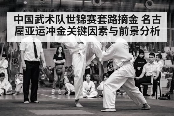 中国武术队世锦赛套路摘金 名古屋亚运冲金关键因素与前景分析
